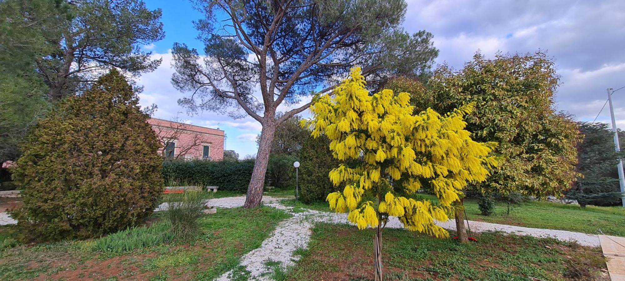 Villa Morea-Relax In Piscina Putignano Luaran gambar